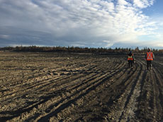 The surface of one of the tailings ponds at Giant Mine.