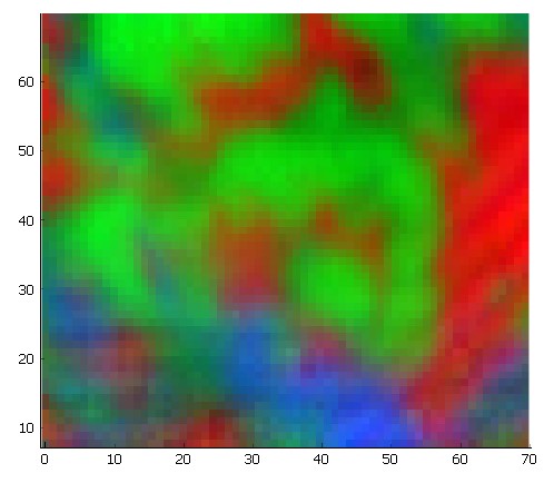 Image of the team's plant-based cheese (green represents protein, red represents coconut oil, and blue shows the starch).  Each pixel of this image has a spectra and that's how the team can identify the different regions of their sample.