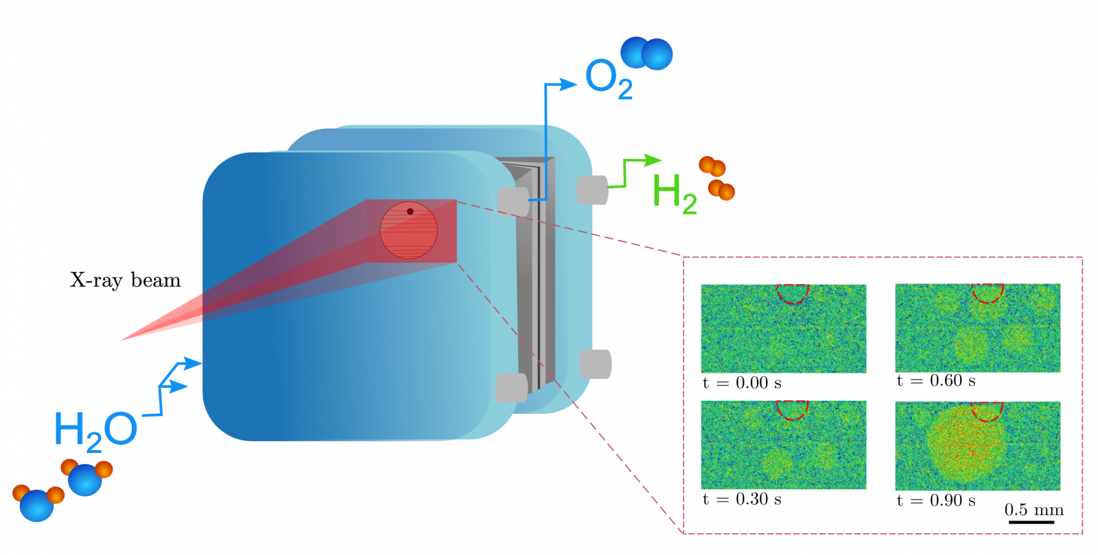 The schematic of the in operando electrolyzer setup at BMIT-ID Beamline, CLS. The bubble nucleation and snap-off cycle occurs less than a second with the application of PTP PTL.