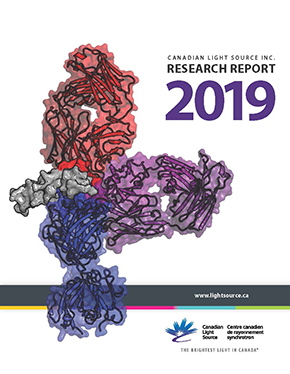 2019 Rsearch report cls      