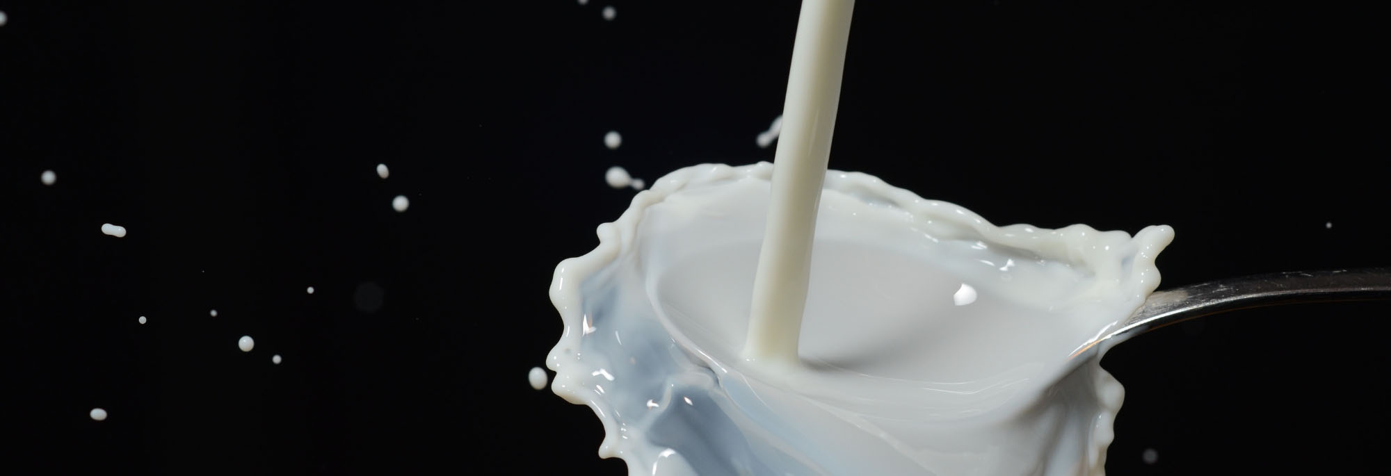 Dairy discovery could improve dialysis design for kidney failure