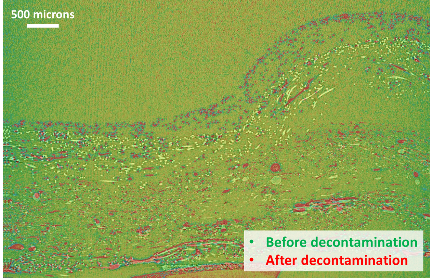 A microscopic 2D “slice” from inside a CT scan shows how the individual fibers (green and red dots) of an N95 mask shift after being exposed to multiple cycles of decontamination.