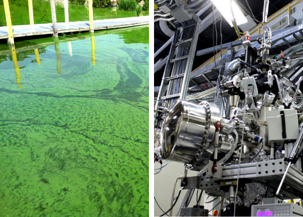 Algal blooms on a lake (left). SGM beamline (right).