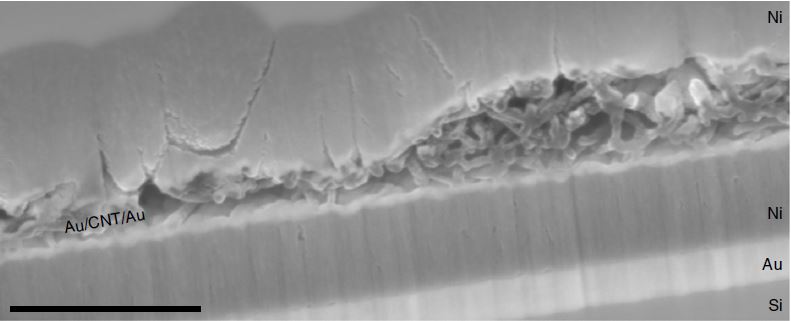 The cross-section SEM image of a catalyst sandwich after FIB cutting.