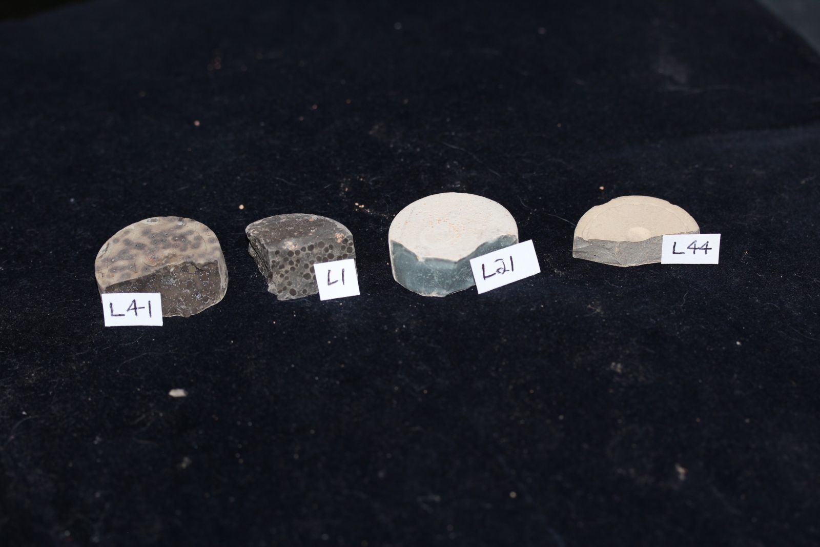 Four samples of different formulations of cement that were tested for their ability to immobilize radioiodine.