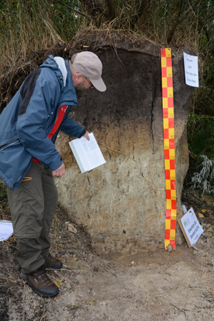 Dr. Leinweber in front of one of the studied soil profiles.