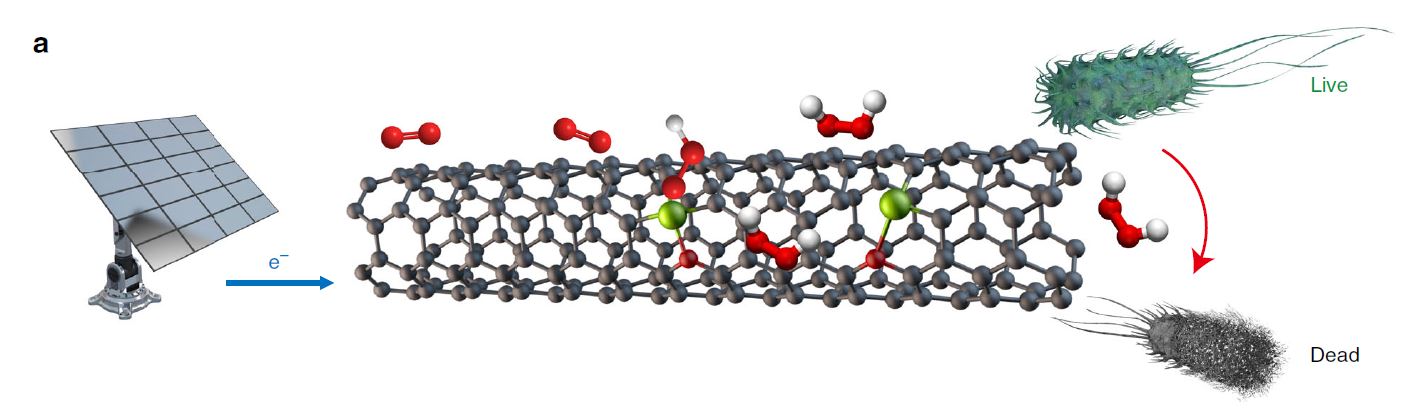 Electrochemical synthesis of H2O2 for water disinfection, with green inputs such as sunlight, air, and water.