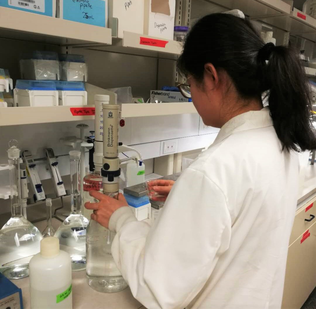 Shuo Chen worked on this project for her PhD project. In this photo, she is working in the lab on soil extraction.