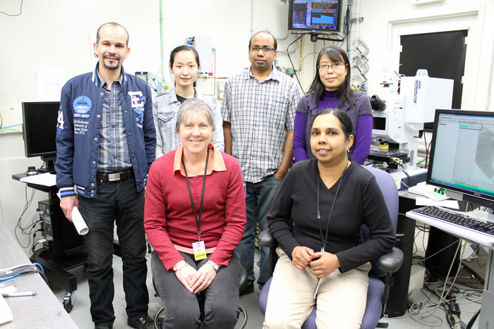 The authors at the Mid-infrared beamline at the Canadian Light Source. Back (left to right) Rachid Lahlali, Yunfei Jiang, Saroj Kumar, Xia Liu; front (left to right) Rosalind Bueckert and Chithra Karunakaran.