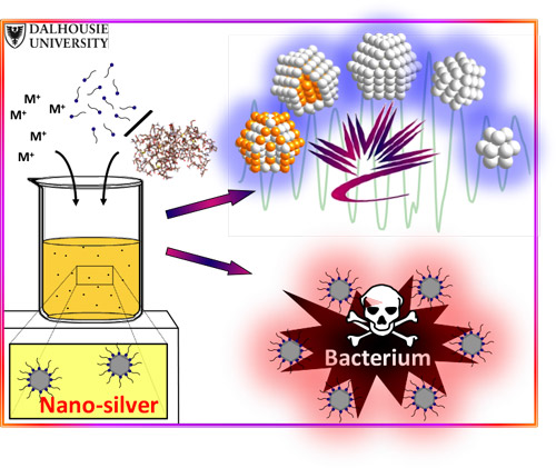 The atomic structure of nanosilver, revealed by synchrotron X-ray spectroscopy, is proving to be a determinant of silver’s antibacterial activity.