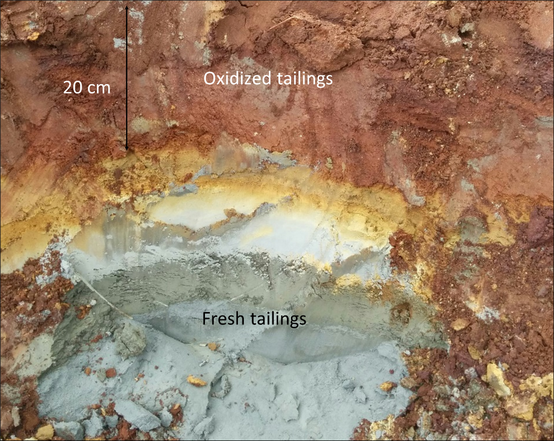 Sampled tailings collected from the Joutel gold mine in northern Quebec.