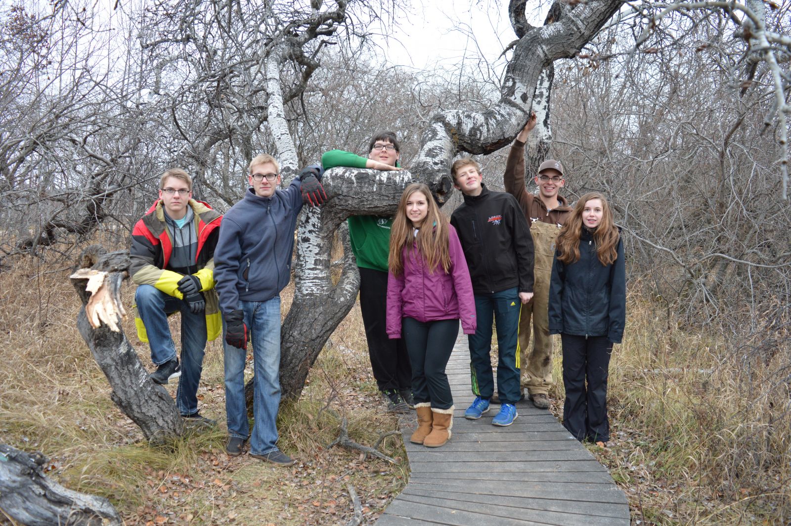 Students examine trees in the field.