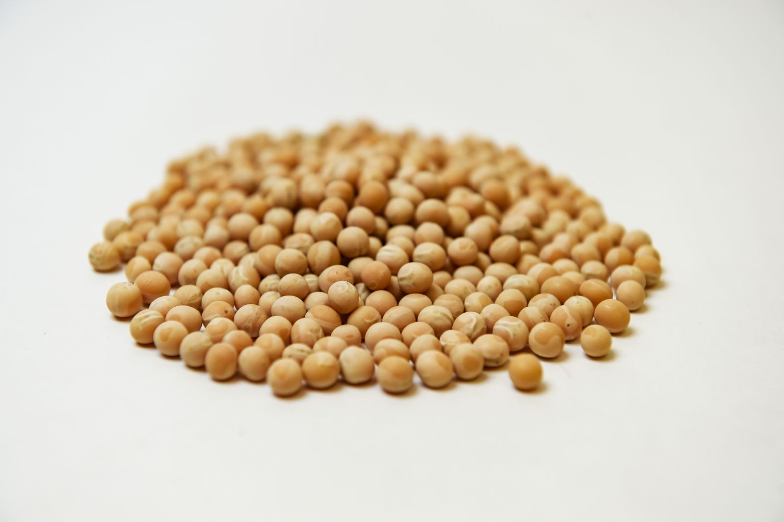 Tom Warkentin is focusing his research on yellow peas such as the ones shown here.