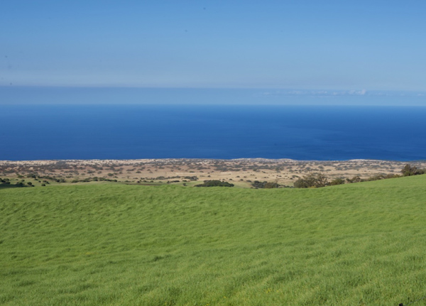 The field site where this study was conducted. This image shows the climate gradient as the grass gets browner and browner towards the coast.
