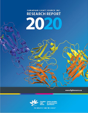 CLS research report 2020 