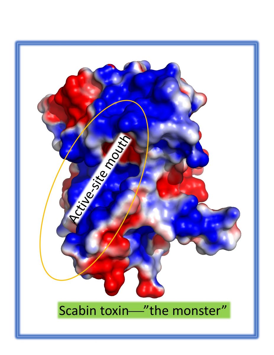 The scabin toxin monster.