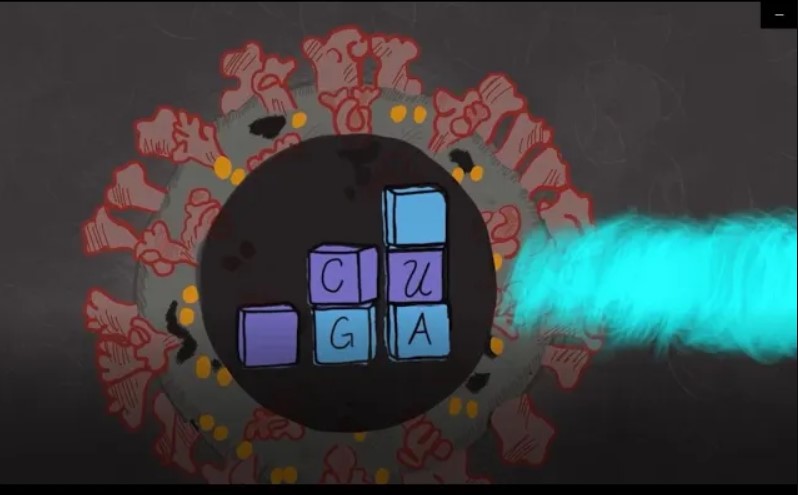 DNA diagram covid