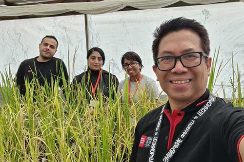 Dr Vito Butardo (pictured far right) is using cutting-edge technology to address global food security and safety with members of his research team, Qurrat Ain, Arash Jamalabadi and Achini Herath (back left to right).