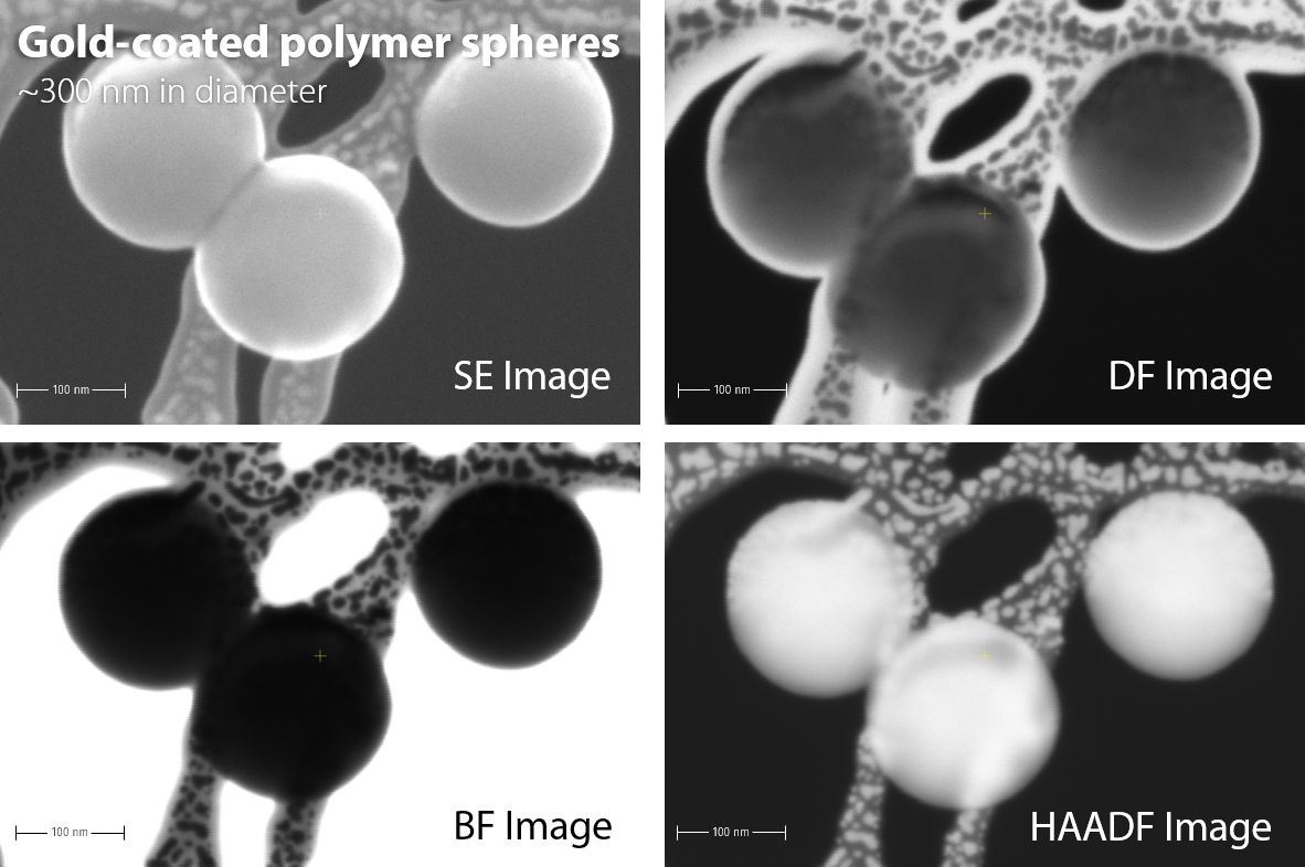 STEM-in-SEM images of gold-coated polymer spheres