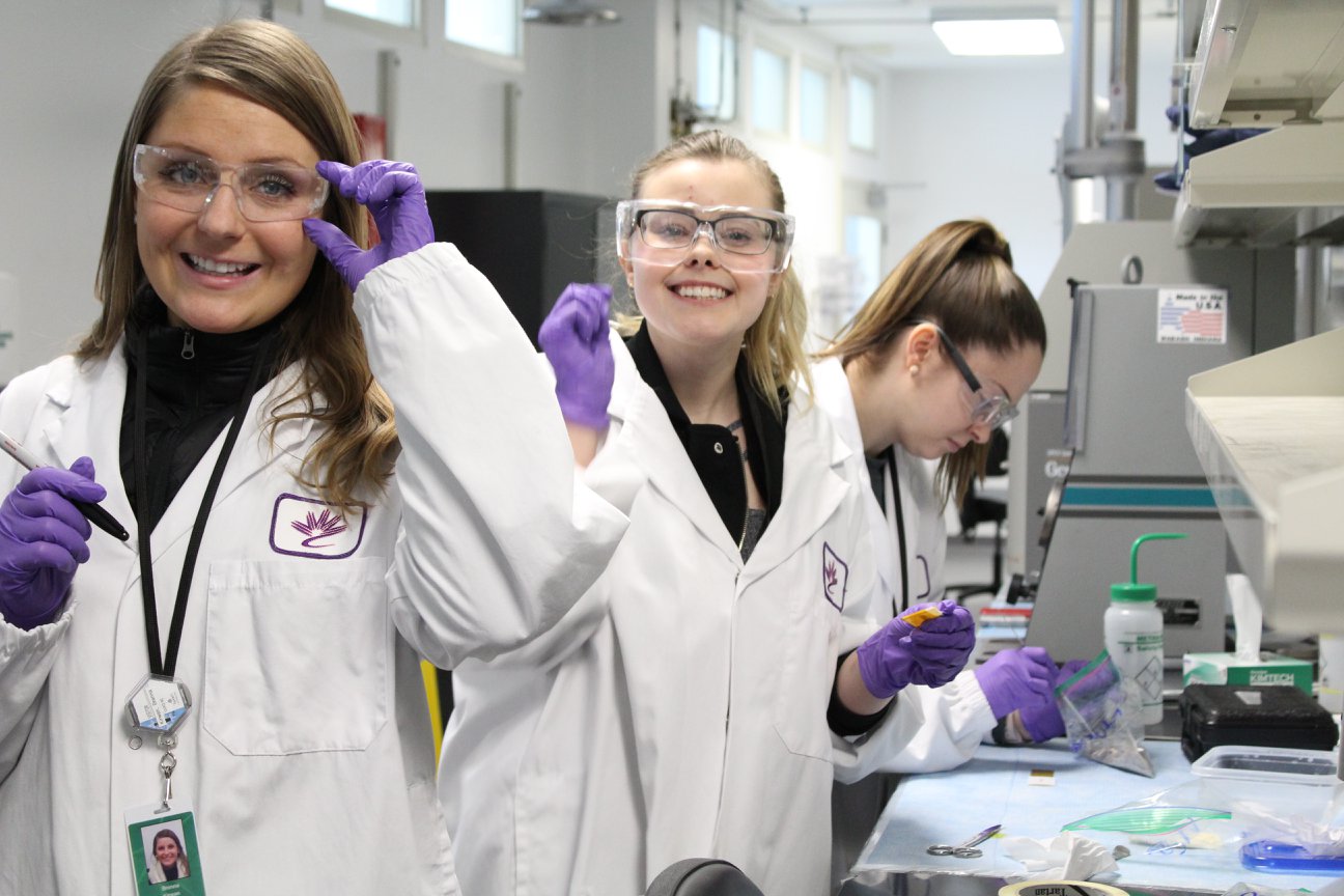 Undergraduate education students learning inquiry and science research as they prepare their samples in a lab at CLS.