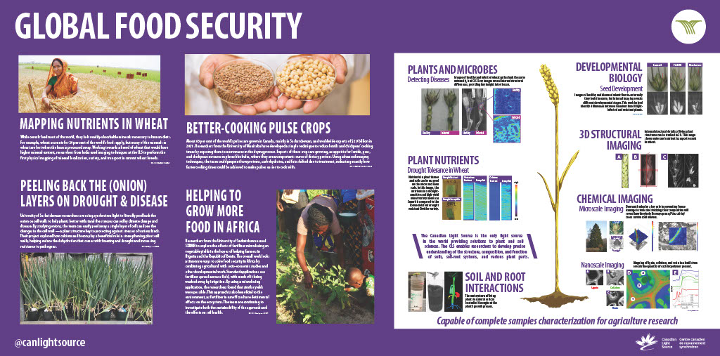 13-food-security.jpg