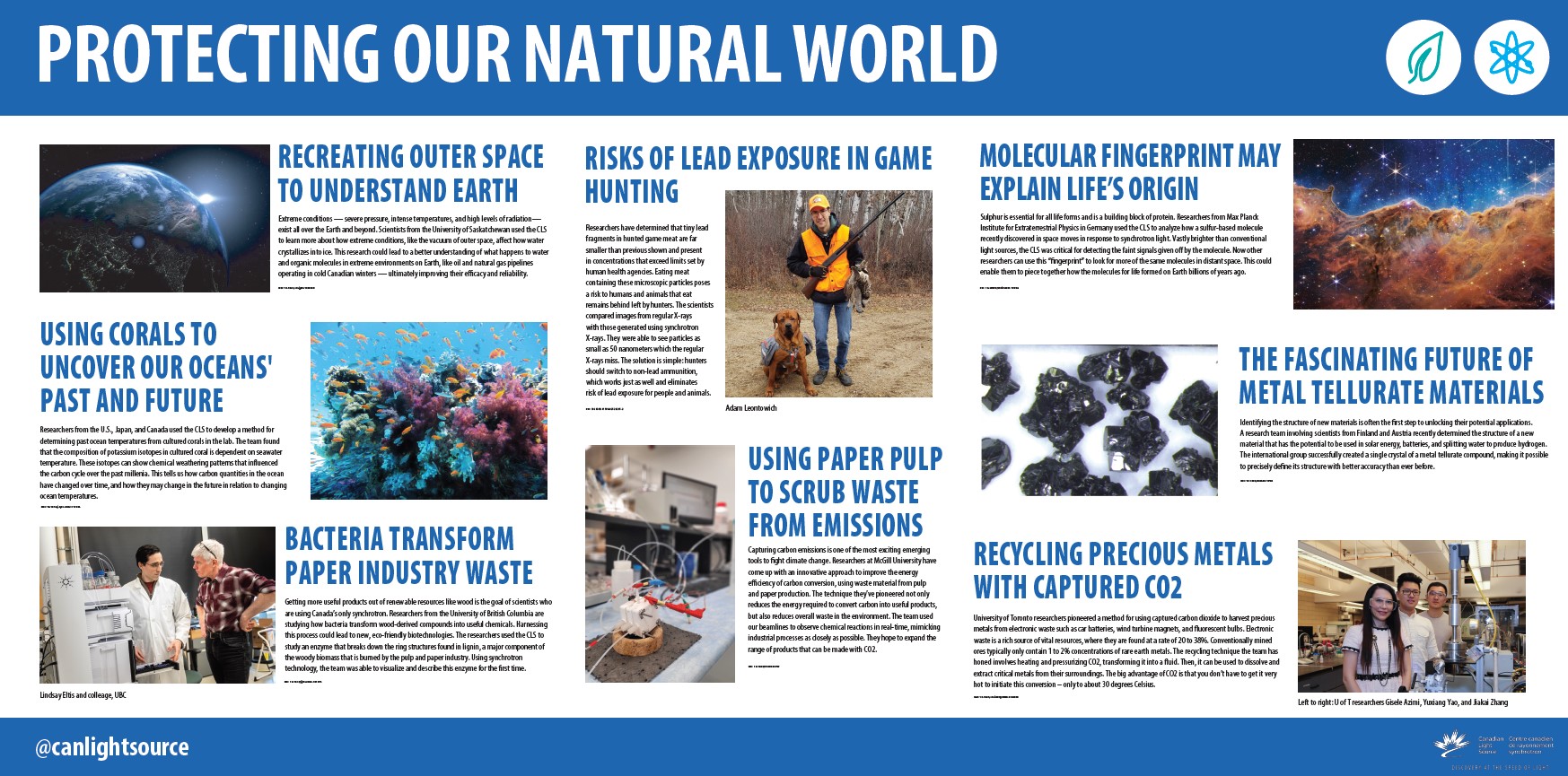 Natural World Tour Poster