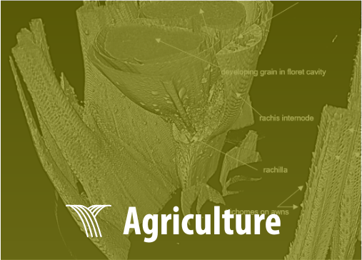 Agriculture