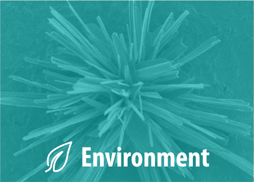 Environment